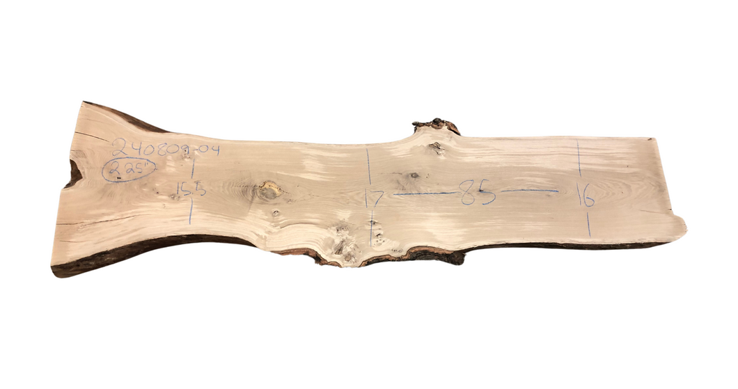 White Oak Slab 240809-04